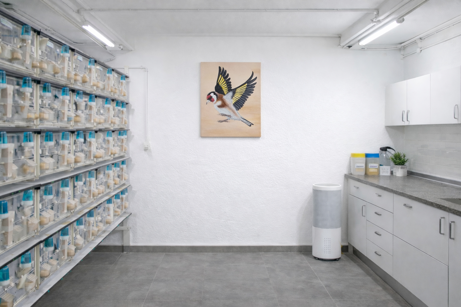 Aviario con retrato de jilguero